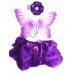 CTU8436-Baby Fairy Dress UP Set